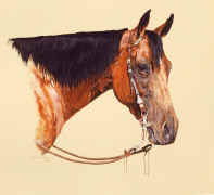 Year End Award for the ACHA High Point Cutting Horse commissioned by the Arizona Cutting Horse Association.