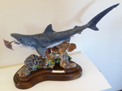 Tiger Shark with colored Patina