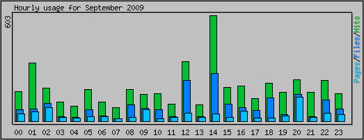 Hourly usage
